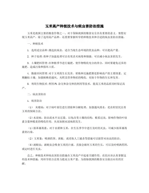 玉米高产种植技术与病虫害防治措施