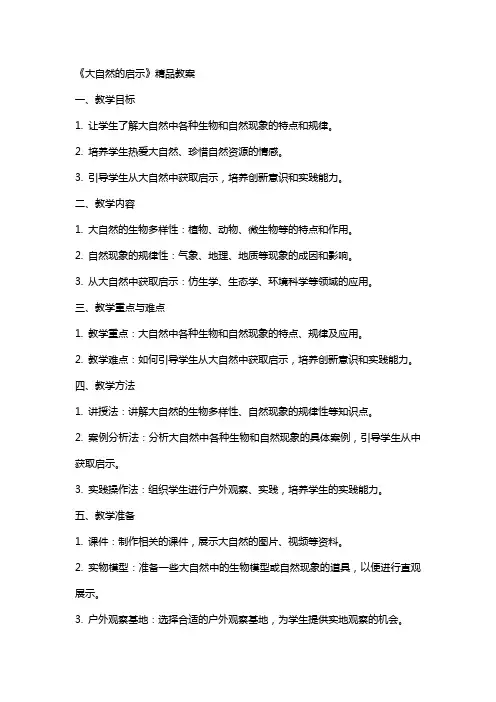 《大自然的启示》教案3