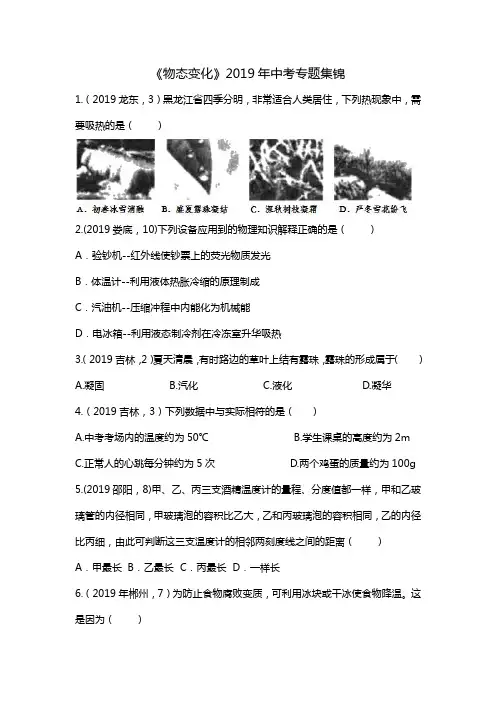 2019年中考物理真题集锦—物态变化