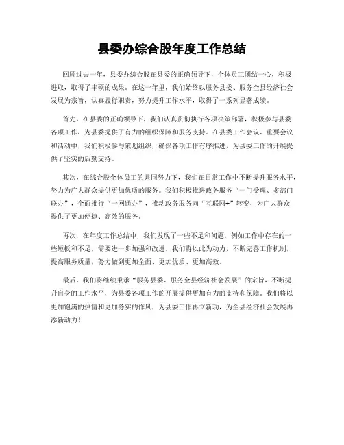 县委办综合股年度工作总结
