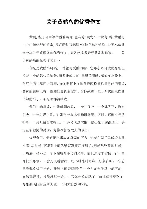 关于黄鹂鸟的优秀作文