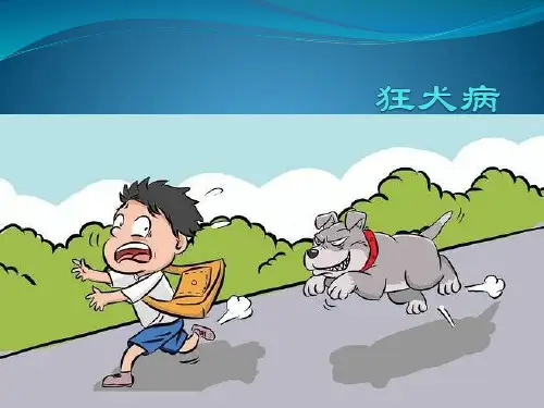 狂犬病病理、诊断及治疗