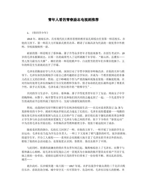 青年人看的青春励志电视剧推荐