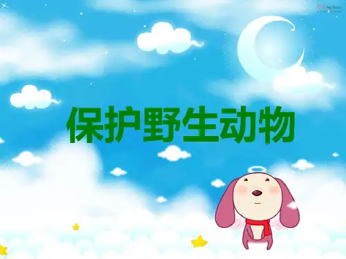 保护野生动物主题班会PPT课件