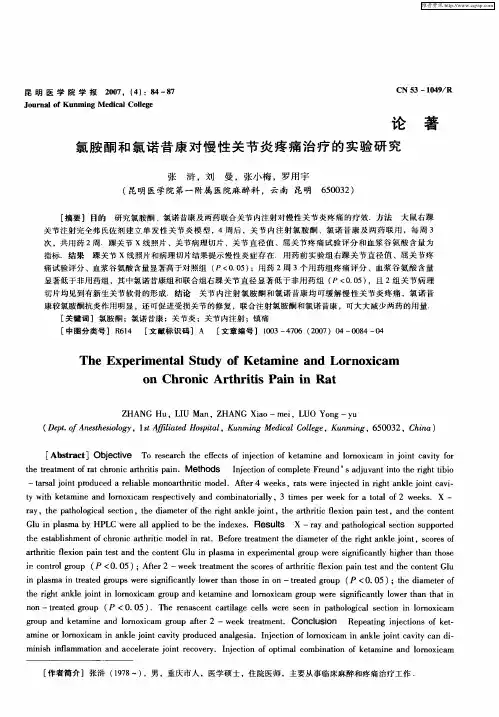 氯胺酮和氯诺昔康对慢性关节炎疼痛治疗的实验研究
