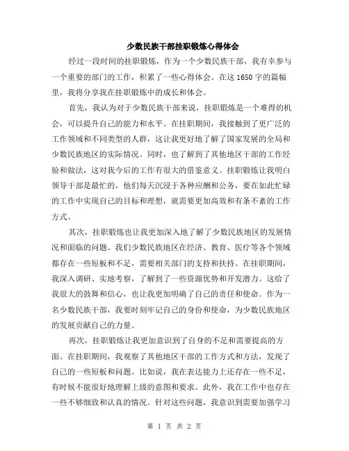 少数民族干部挂职锻炼心得体会