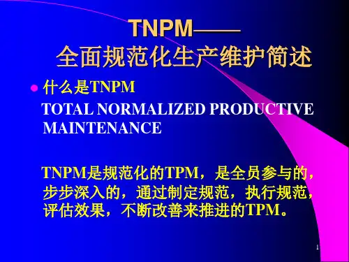 TNPN全面规范化生产维护98页