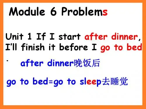外研版九年级上册 Module 6 Problems Unit 1(共41张PPT)