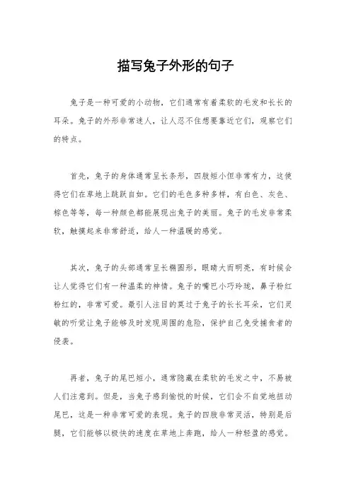 描写兔子外形的句子