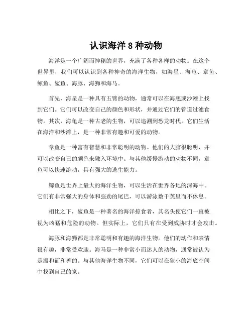 认识海洋8种动物