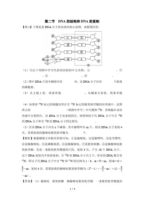 苏教版高一生物必修2(遗传与进化)_《DNA的结构和DNA的复制》典题例析