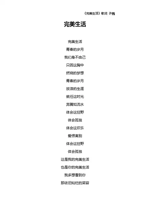 《完美生活》歌词 许巍