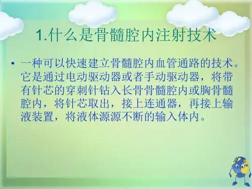 骨髓腔内注射技术