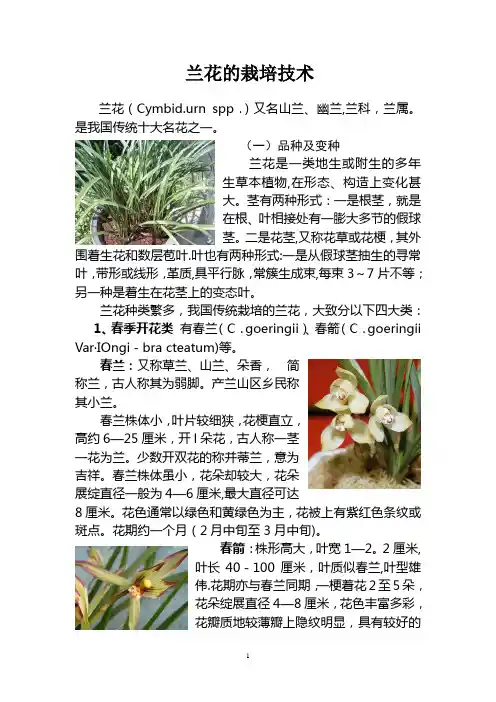兰花的栽培技术