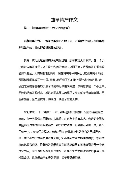 曲阜特产作文