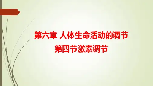激素调节ppt课件
