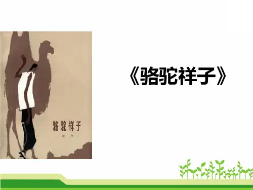 名著阅读《骆驼祥子》PPT课件