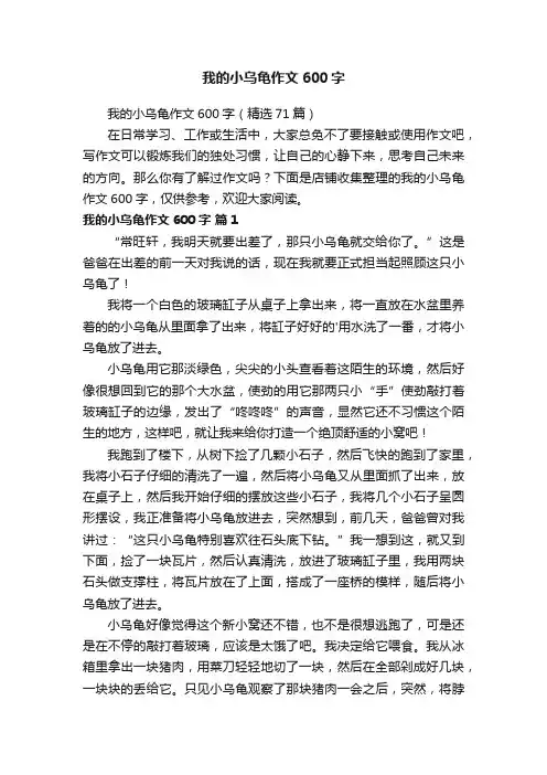 我的小乌龟作文600字
