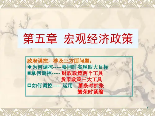 《宏观经济政策》PPT课件