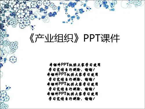 《产业组织》PPT课件