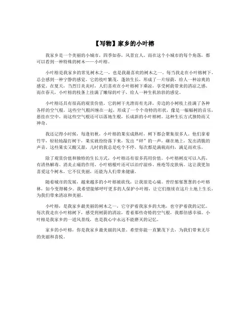 【写物】家乡的小叶榕