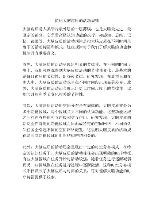 简述大脑皮质的活动规律