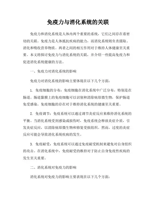 免疫力与消化系统的关联