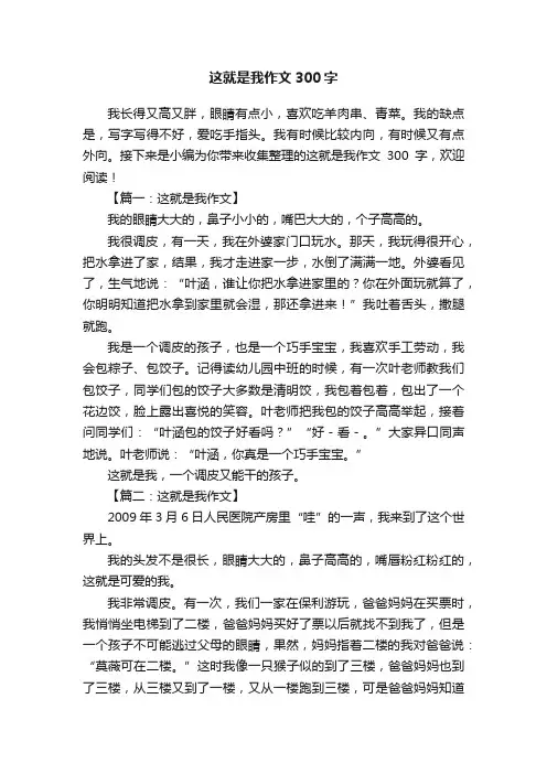 这就是我作文300字5篇