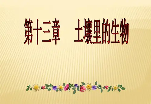 第1节土壤里的小动物
