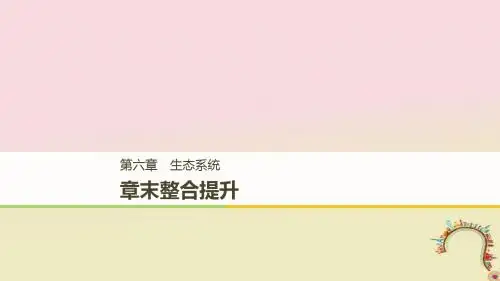 高中生物第六章生态系统章末整合提升讲义浙科版-优秀