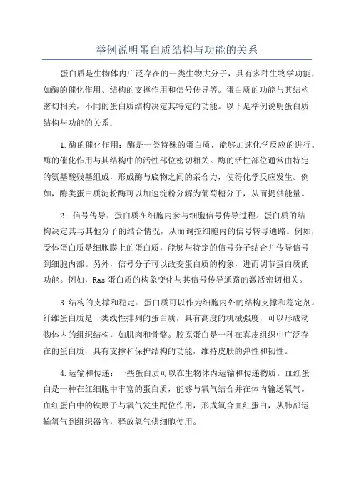 举例说明蛋白质结构与功能的关系