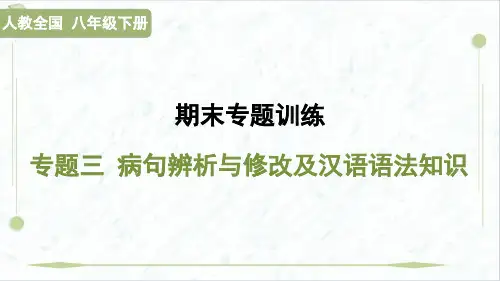 2025年部编版八年级下册语文期末复习专题三 病句辨析与修改及汉语语法知识
