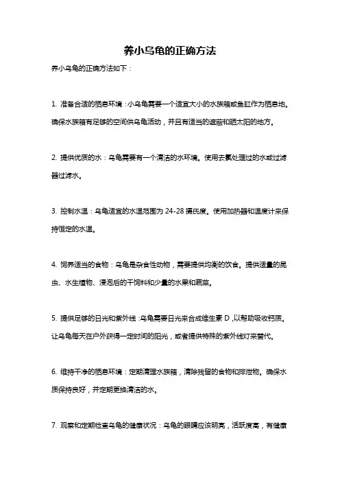 养小乌龟的正确方法