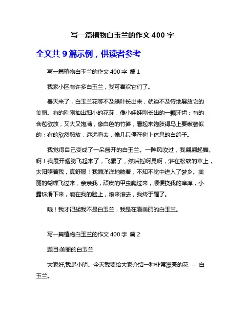写一篇植物白玉兰的作文400字
