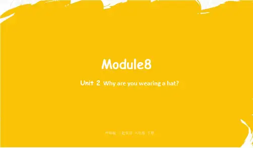 部编外研版六年级下册优质课件 Module8 unit2