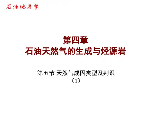 天然气成因类型及判识(1)