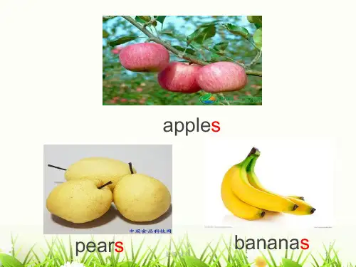 论述外研版小学英语四年级上册Module4.unit1.ppt