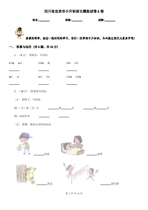 四川省宜宾市小升初语文模拟试卷A卷