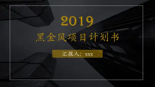 黑金风商业计划书模板