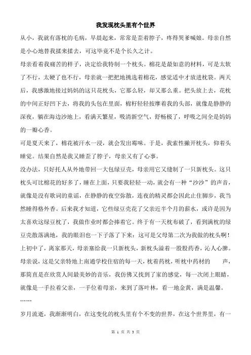 初中作文议论文记叙文范文 我发现枕头里有个世界