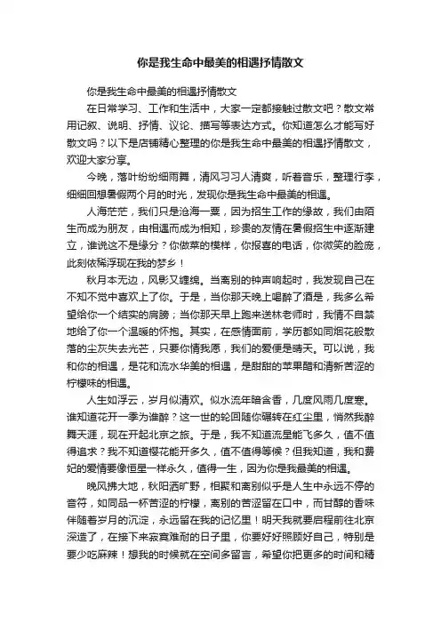 你是我生命中最美的相遇抒情散文