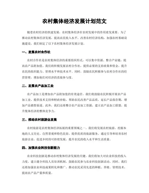 农村集体经济发展计划范文