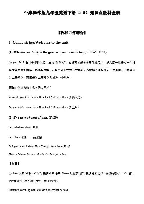 牛津译林版九年级英语下册Unit2 知识点教材全解