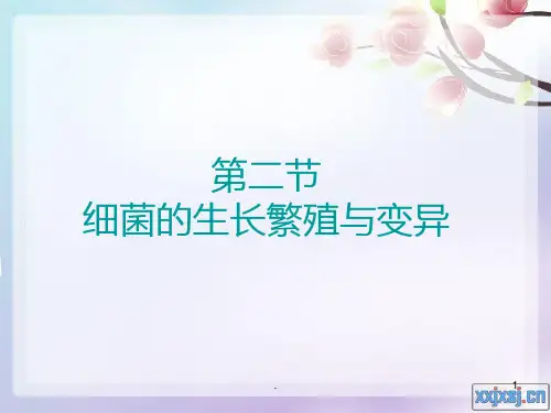细菌的生长繁殖与变异 PPT课件