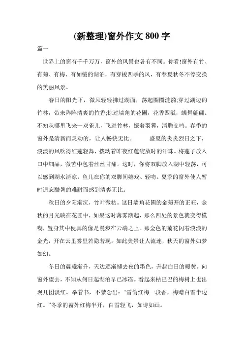 (新整理)窗外作文800字