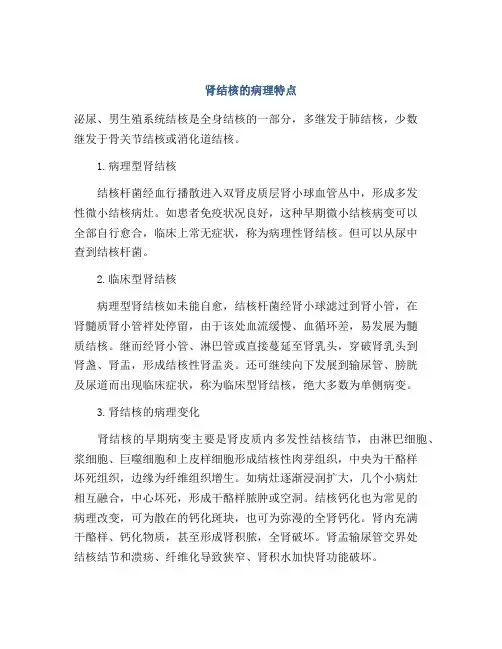 肾结核的病理特点