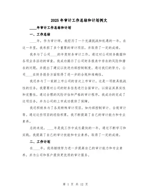 2025年审计工作总结和计划例文（六篇）