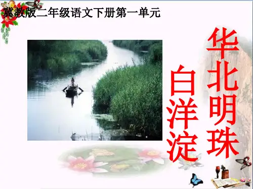 最新二年级语文下册第一单元第3课《华北明珠白洋淀》教学冀教版优选教学课件