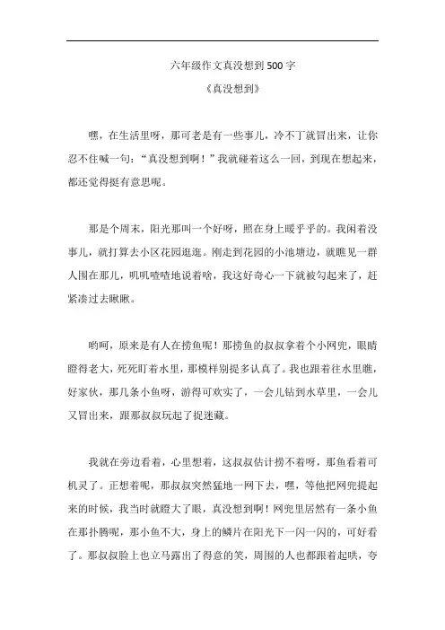 六年级作文真没想到500字