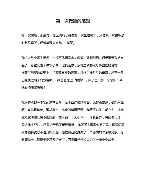 作文《第一次做饭的感受》